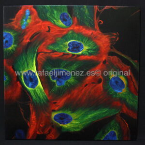 Neuronas-uniformes